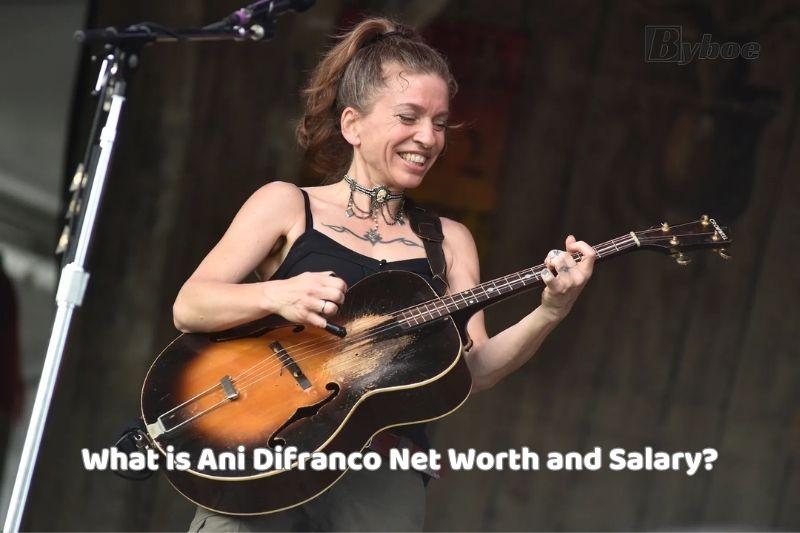 What is Ani Difranco Net Worth and Salary