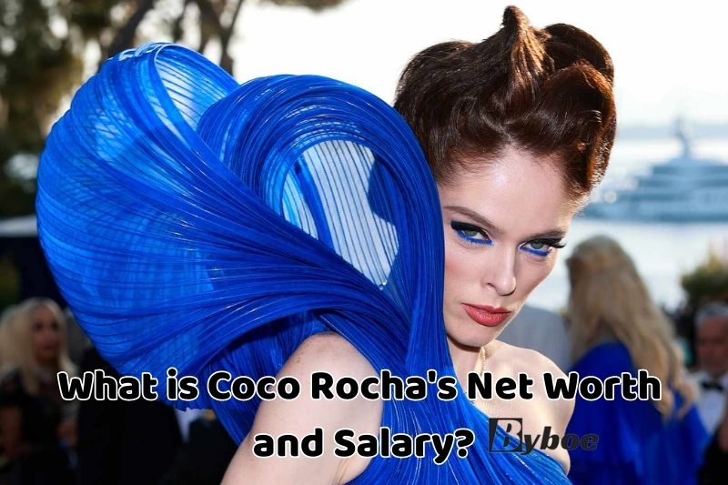 What is Coco Rocha's Net Worth and Salary in _2023