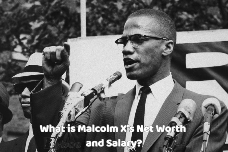 What is Malcolm X's _Net Worth and _Salary in 2023