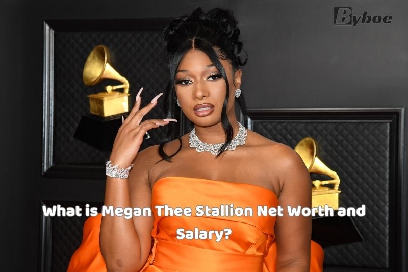 What is Megan Thee Stallion's Net Worth and Salary