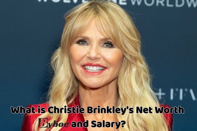 What_ is Christie Brinkley's Net Worth and Salary in_ 2023