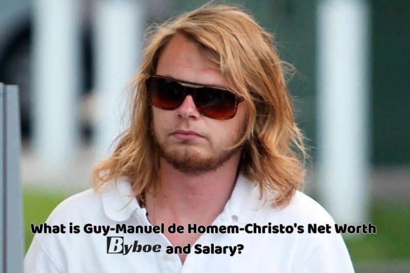 What is Guy-Manuel de Homem-Christo's_ Net Worth and Salary_ in 2023